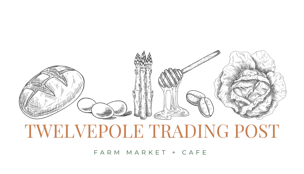 Cappuccino  Twelvepole Trading Post, LLC